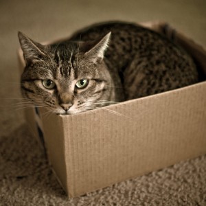 Optional image title goes here Optional image title goes here